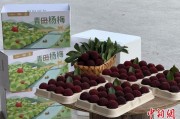 六爻起卦高速赋能产业升级：一条“杨梅路”的致富密码